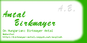 antal birkmayer business card